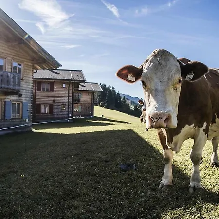 Holiday Farm Oberreit Bruck Osb03115 Fyb *